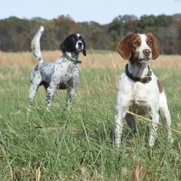 L. L. Bean Boots - Picture 4 of 7